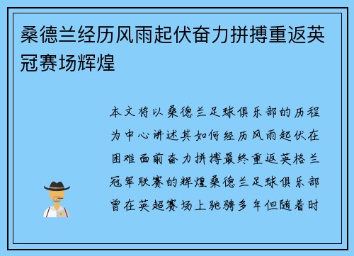 桑德兰经历风雨起伏奋力拼搏重返英冠赛场辉煌